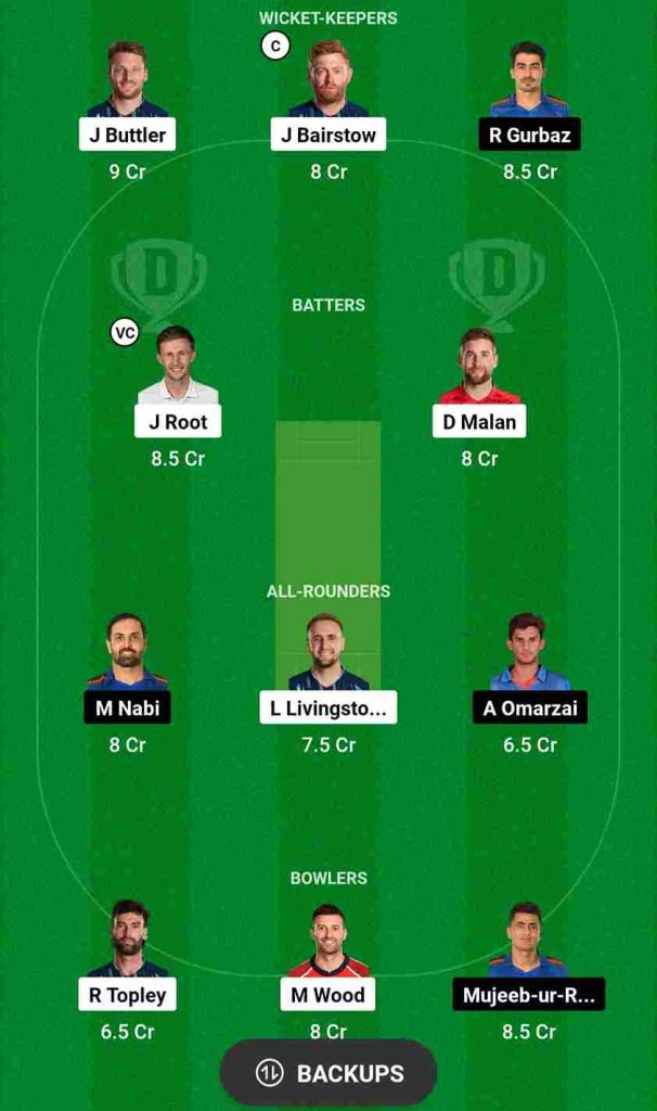 ENG vs AFG Dream11 Prediction World Cup 2023 | England vs Afghanistan Dream11 Team, Arun Jaitley Stadium Delhi Pitch Report