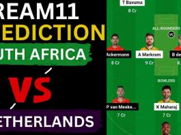 SA vs NED Dream11 Prediction World Cup 2023 | South Africa vs Netherlands Dream11 Team, HPCA Stadium Dharamsala Pitch Report