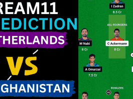 NED vs AFG Dream11 Prediction ODI World Cup 2023 Netherlands vs Afghanistan Dream11 Team, Ekana Cricket Stadium Lucknow Pitch Report