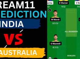 India vs Australia Dream11 Prediction ODI World Cup 2023 | IND vs AUS 2023 Dream11 Team, M.A. Chidambaram Stadium Chepauk Pitch Report