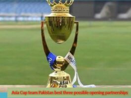 Asia Cup team Pakistan best three possible opening partnerships