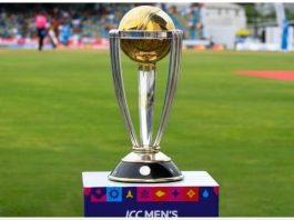 2027 ODI World Cup Venue REVEALED: ICC Men's ODI World Cup 2027 Stadium List in South Africa- News24 South Africa