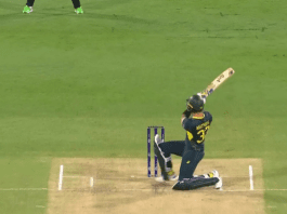 AUS vs PAK: Glenn Maxwell switch hits Naseem Shah on his first ball to hit a four; insane stats as Australia starts T20 series with a commanding win