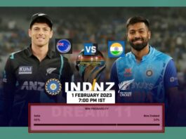 IND vs NZ t20i 3rd match