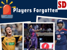 Players Forgotten in IPL